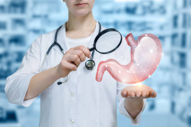 istock A doctor is examining stomach model through a loupe. 1098323680