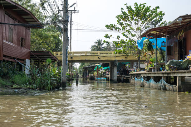 istock Damnoen Saduak houses 1098323682