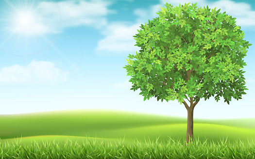 Tree on country spring landscape background. Green meadow and blue sky. Natural landscape with a calm beautiful scene.