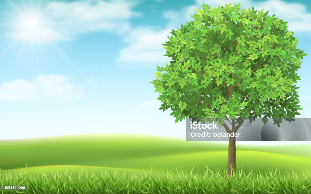 Treebros Background Sky And Grass Tree Background