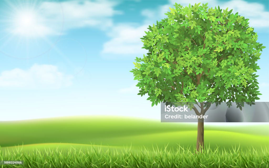 Tree on landscape background. Tree on country spring landscape background. Green meadow and blue sky. Natural landscape with a calm beautiful scene. Tree stock vector