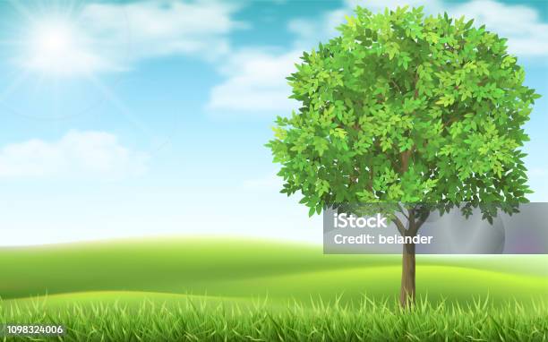 Tree On Landscape Background Stock Illustration - Download Image Now - Tree, Grass, Natural Parkland