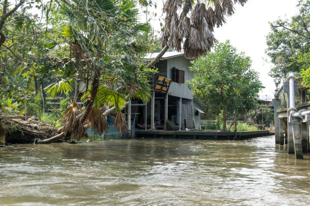 istock Damnoen Saduak houses 1098324088