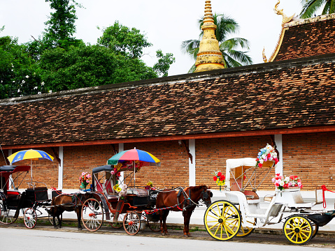 Horses drawn carriage waiting travelers thai people use service tour around city at Wat Phra That Lampang Luang Buddhist Temple on July 17, 2017 in Lampang, Thailand