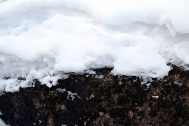 istock earth and snow Texture. Natural wealth. 1098328900