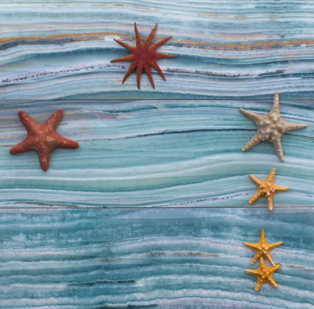 istock sea background marine concept, starfish and shells 1098341540