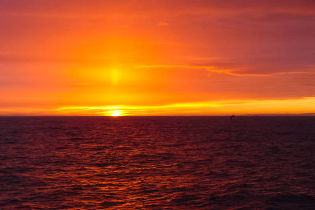 istock Antarctic sunsets in Antarctica 1098342316