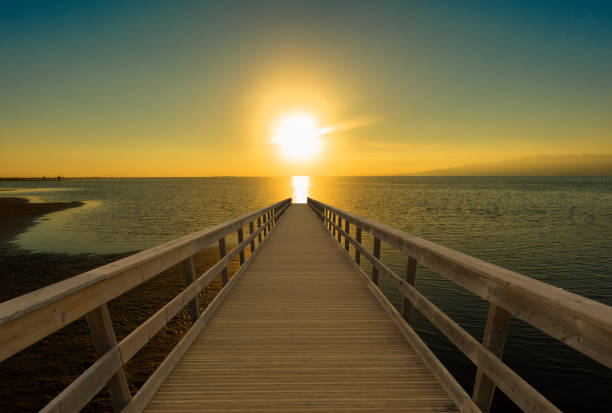 istock A walkway towards the sea in a sunset 1098342626