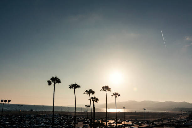 menschen am strand von santa monica bei sonnenuntergang - venice california santa monica pier sunset beach stock-fotos und bilder