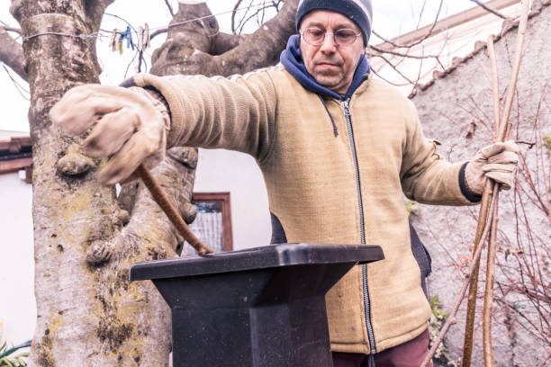 istock Mature Man Using Wood Chipper Machine in the House Back Yard 1098351198