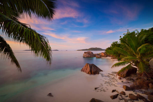 istock Tropical beach on Seychelles at night 1098352092