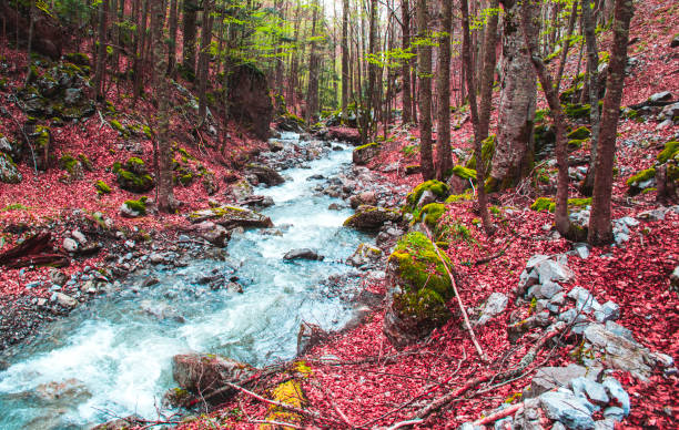 Autumn - Pollino National Park - Italy