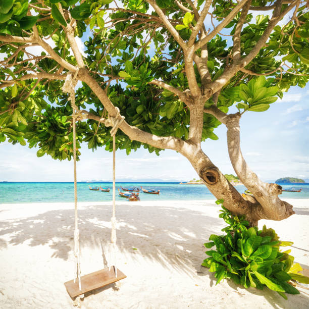 Empty tropical beach with wooden swing on exotic tree