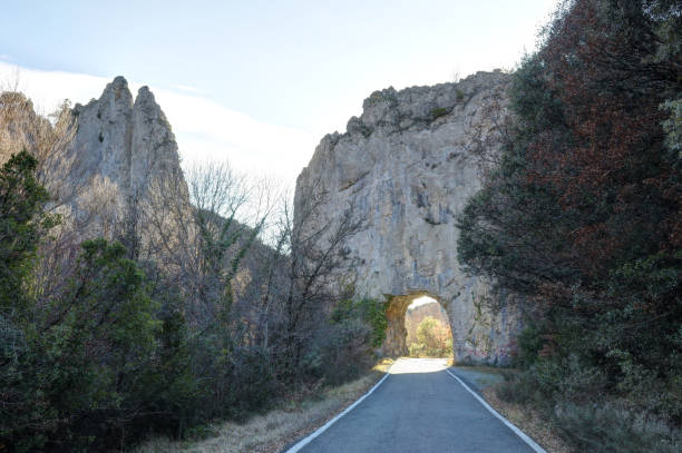 eine gepflasterte straße durchlaufen eines straßentunnels in einer grauen felswand im winter, mit nackten äste bäume bei sonnenuntergang in foz de binies in aragon, spanien - conutryside stock-fotos und bilder