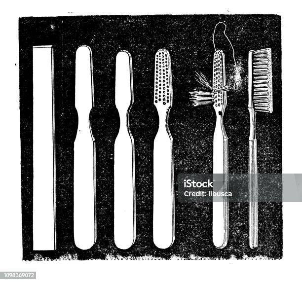 Antique Illustration Engraving Of Manufacturing Industry Toothbrush Stock Illustration - Download Image Now
