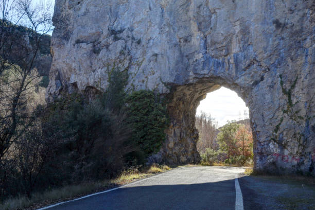 a paved street going through a road tunnel in a grey rock wall during winter, with bare branches trees at sunset, in foz de binies, in aragon, spain - conutryside imagens e fotografias de stock