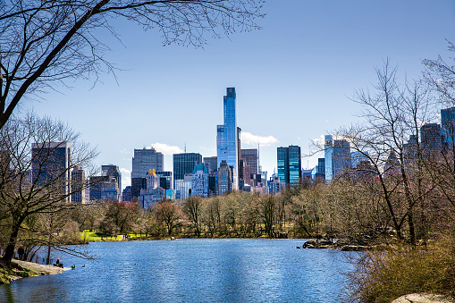 The Lake, Central Park, against the backdrop of Manhattan Midtown skyscrapers, New York