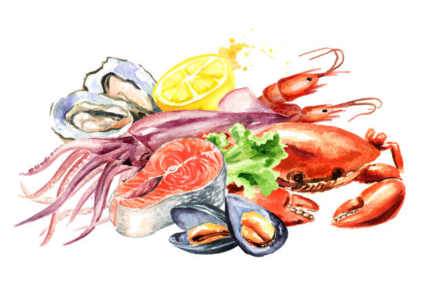 illustrations, cliparts, dessins animés et icônes de composition de fruits de mer, illustration aquarelle dessinés à la main, isolée sur fond blanc - healthy eating backgrounds freshness luxury