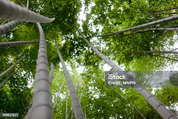 Buscar Foto de stock y más banco de imágenes de Aire libre - Aire libre, Alto - Descripción física, Asia