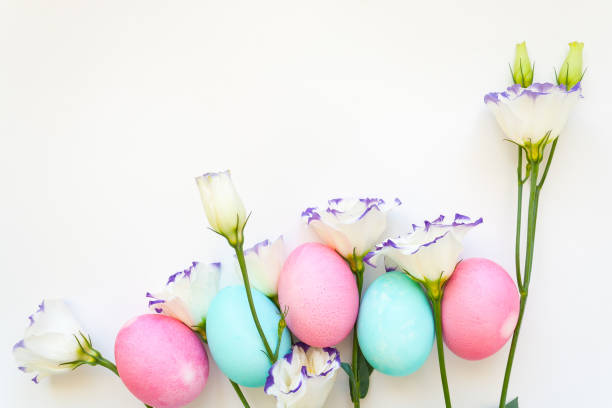 istock Easter eggs and spring flowers narcissi on white background 1098377360