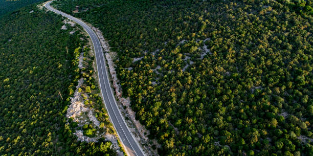 istock Aerial View on Asphalt Road Thru Forest 1098387764