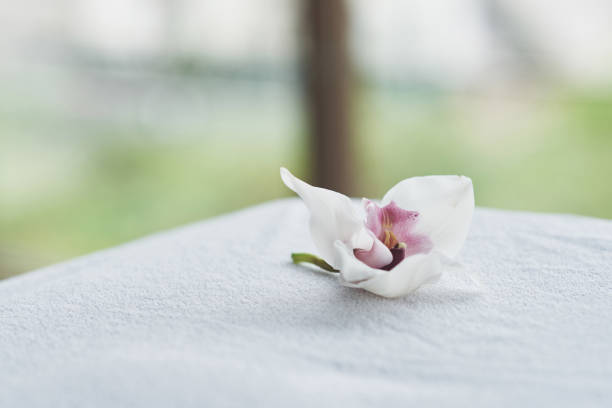 istock Place for relaxation in modern wellness center. 1098390282