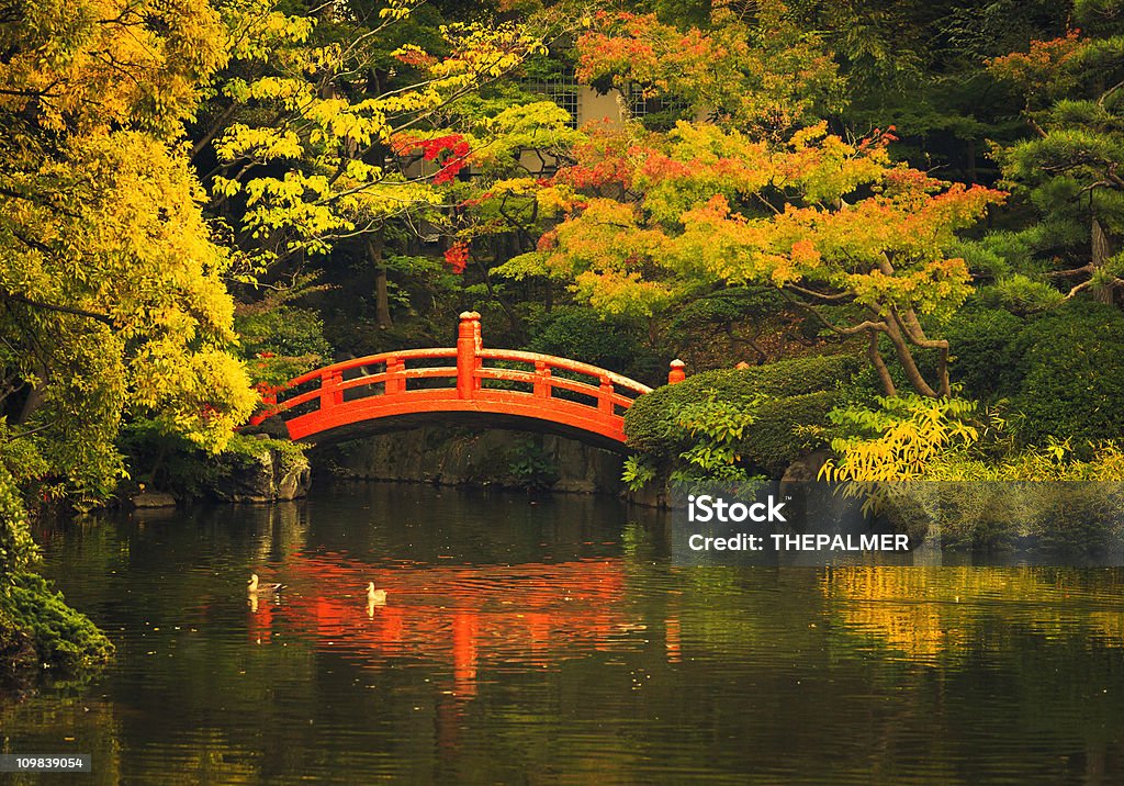 public park in tokyo japanese garden red bridge and pond, public park in tokyo Japan Stock Photo