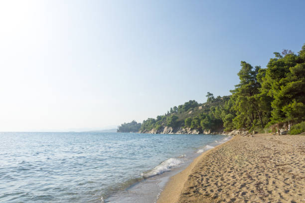 istock Blue sea water and sandy beach with trees. 1098393614