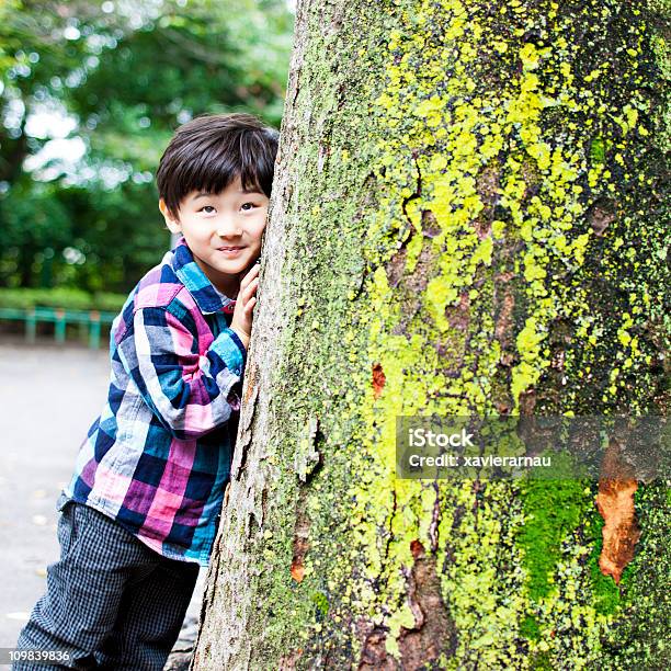 Verstecken Stockfoto und mehr Bilder von 4-5 Jahre - 4-5 Jahre, Baum, Ein Junge allein