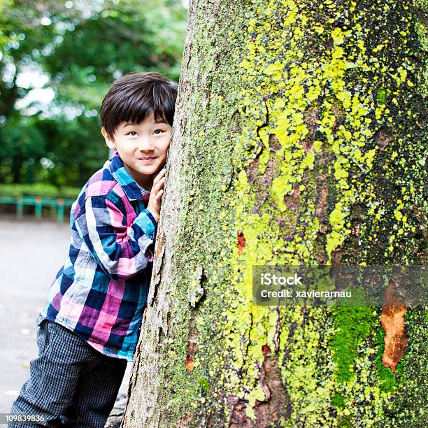 Chować Się - zdjęcia stockowe i więcej obrazów 4 - 5 lat - 4 - 5 lat, Chłopcy, Drzewo