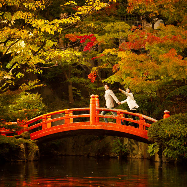 молодая пара пешие прогулки в парке - couple autumn embracing bridge стоковые фото и изображения