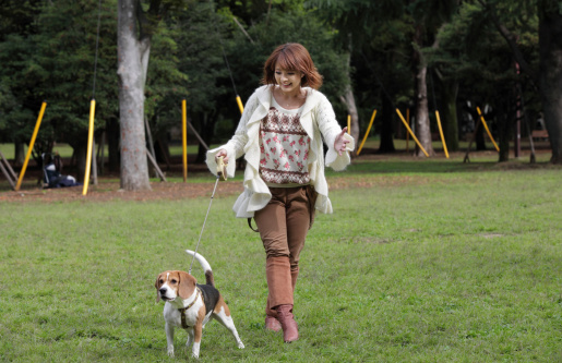 Japanese woman walking with her dog in a park in Tokyo.
