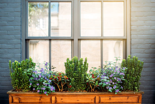 istock Beautiful windows with flowers on a black facade house 1098404054