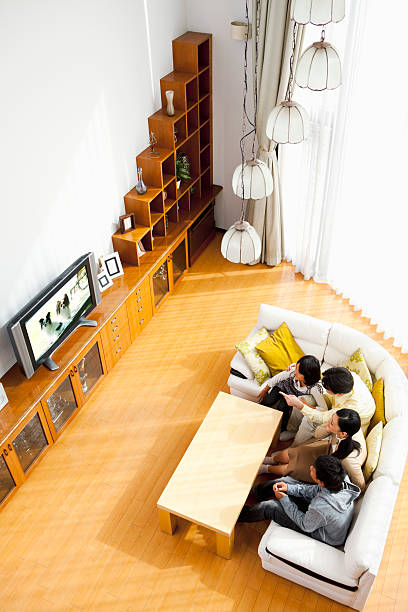 Bright and stylish living room interior featuring minimalistic furniture, green house plants, and a television.