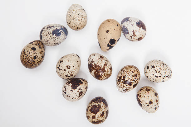 istock Quail eggs in bird nest isolated on white background. 1098410046