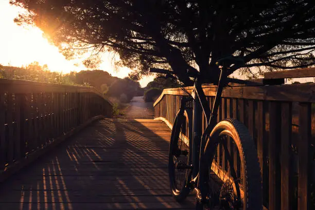 mountain bike illuminated by sunset sunlight resting on a wooden bridge of a rural road, the sun's rays sneak through the branches of a large tree in silhouette. dark mood