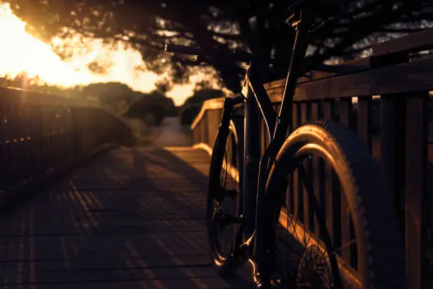 Mountain bike illuminated by sunset sunlight resting on a wooden bridge of a rural road, the sun's rays sneak between the branches of a large tree in silhouette. Dark mood, lens blur