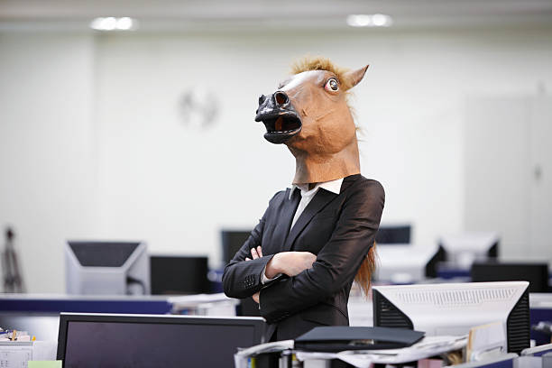 serious businesshorse - gekke paarden stockfoto's en -beelden