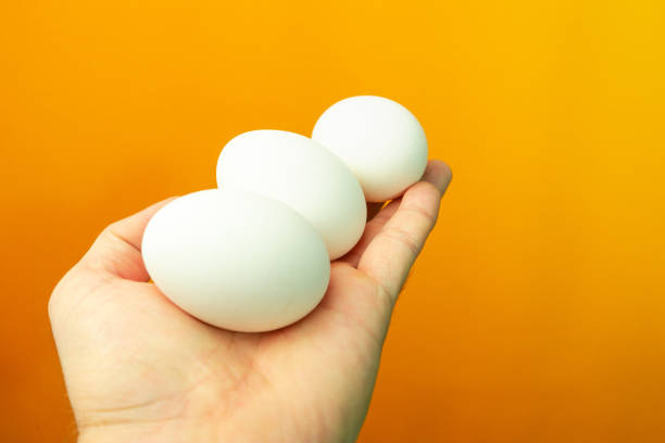 istock Hand holding in palm three eggs on a orange background. 1098414666