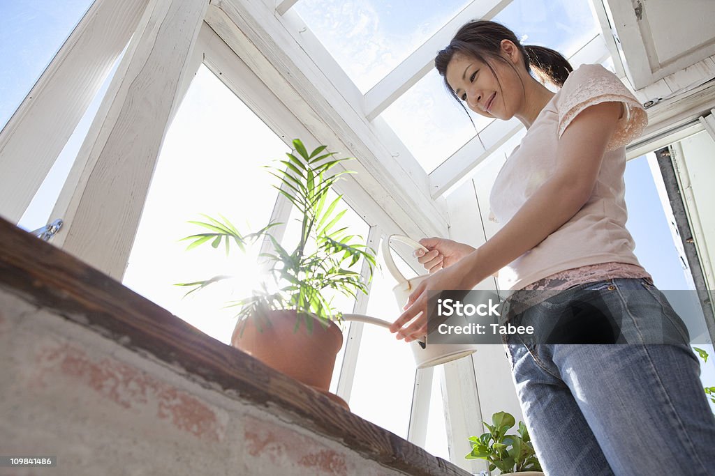 Woman watering flower pod iStockalypse 2010 Tokyo JAPAN Adult Stock Photo