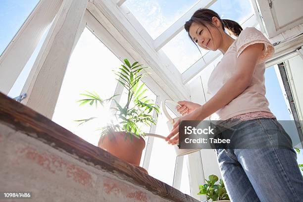 Woman Watering Flower Pod Stock Photo - Download Image Now - Adult, Asia, China - East Asia