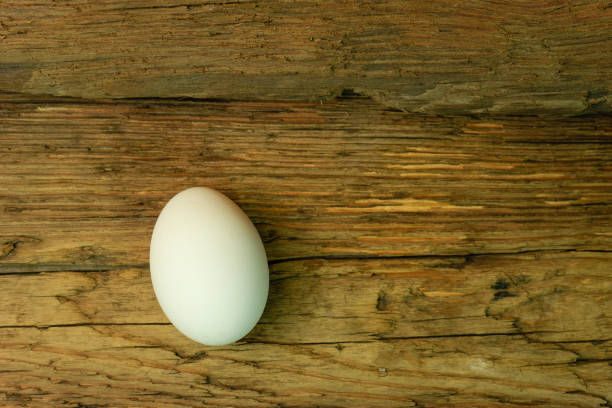 istock One Egg on a old oak wooden table background. 1098415340