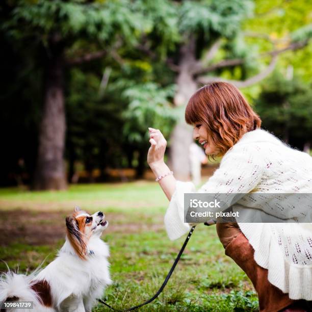 Photo libre de droit de Chien Entraînement banque d'images et plus d'images libres de droit de Carré - Composition - Carré - Composition, Chien, Marcher