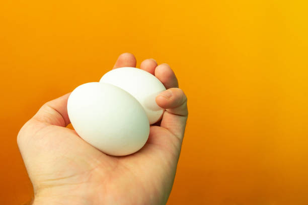 istock Hand holding in palm two eggs on a orange background. 1098418518