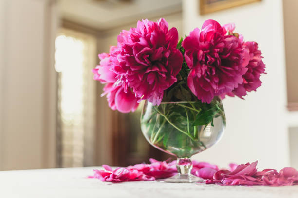 istock red peonies in glass vase stand on table 1098424056