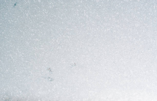 istock Beautiful winter ice, art texture on window, festive background 1098424976