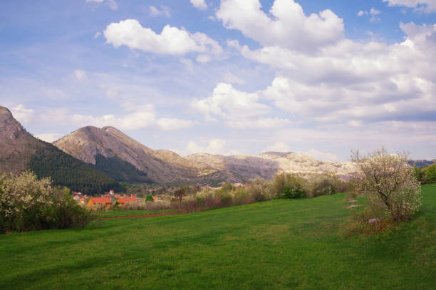 istock Spring in Lovcen National Park. Montenegro 1098425300