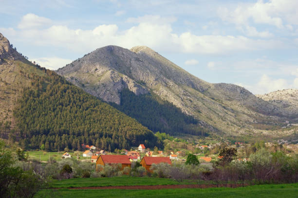 istock Spring in Lovcen National Park. Montenegro 1098425454