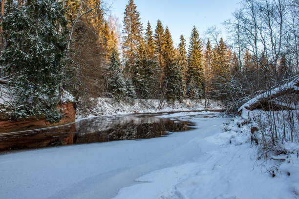 istock sun rising in heavy snow covered forest 1098425570