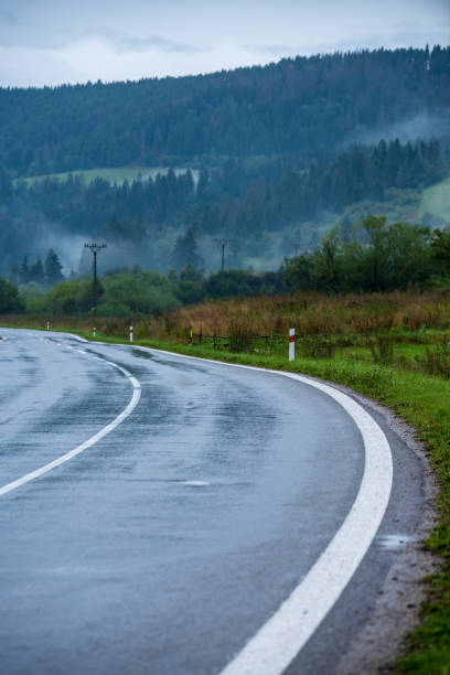 istock wavy asphalt road in mountain area in forest 1098436736